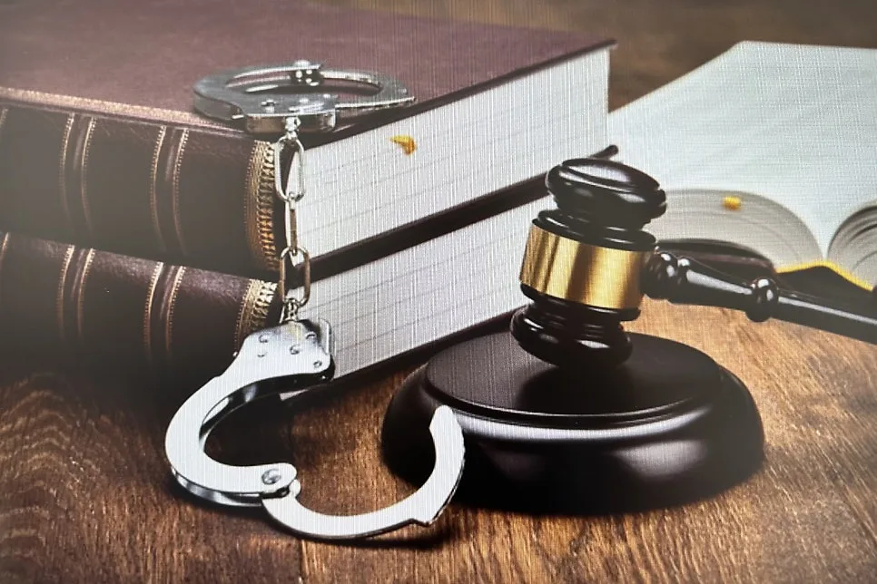 구속적부심 영장실질심사 차이점과 진행 방식에 대해서, 서울구속수사변호사 빠른 상담