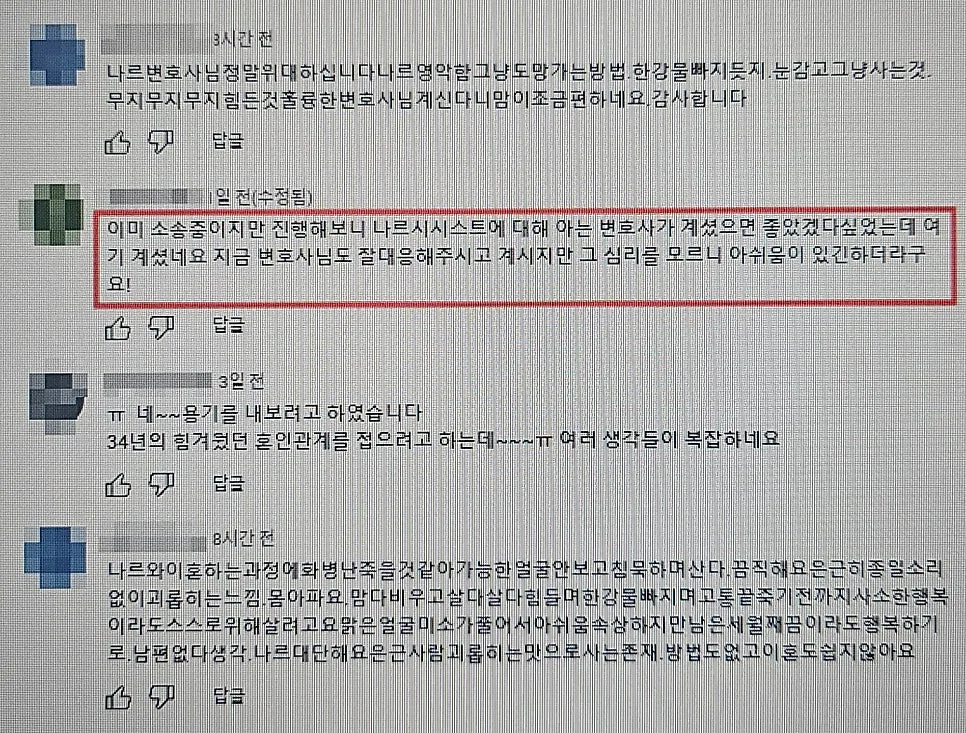 신현준 변호사님 유튜브에 달린 댓글입니다.