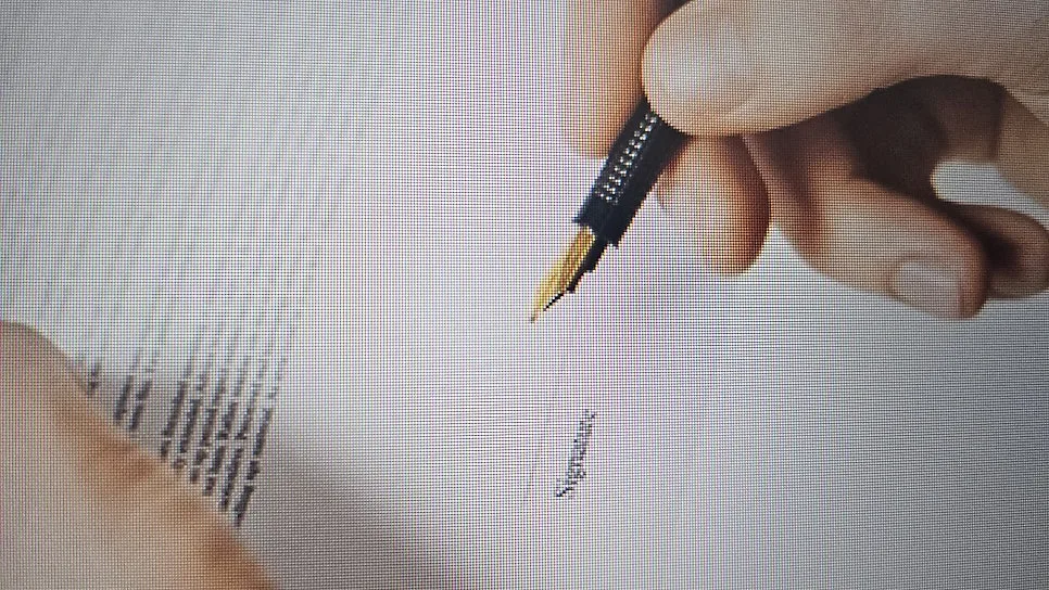상속포기신고서 작성방법 절차 유의사항과 전략은