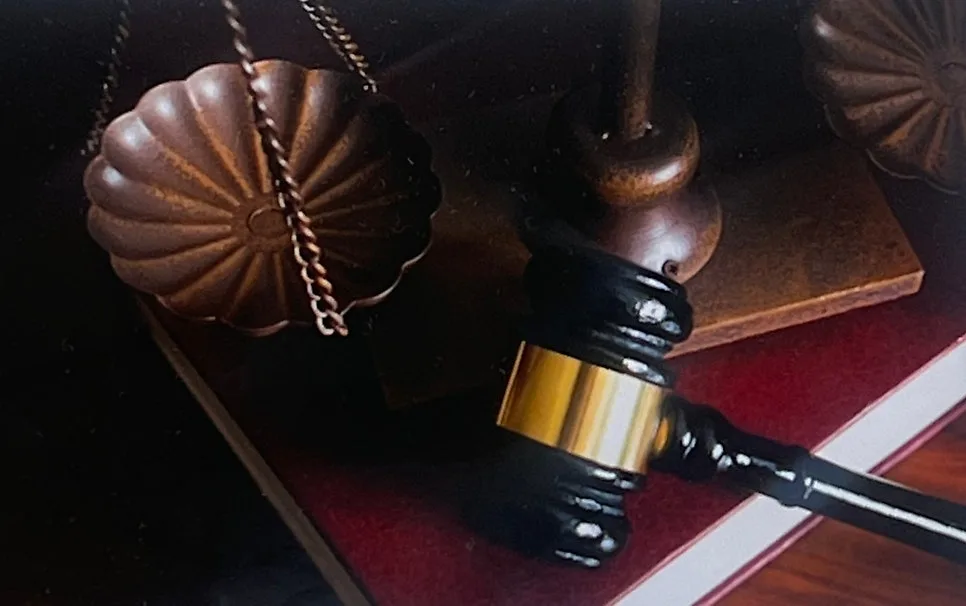 출산후이혼 양육비 양육권 준비 어떻게, 압구정동변호사 채팅 상담